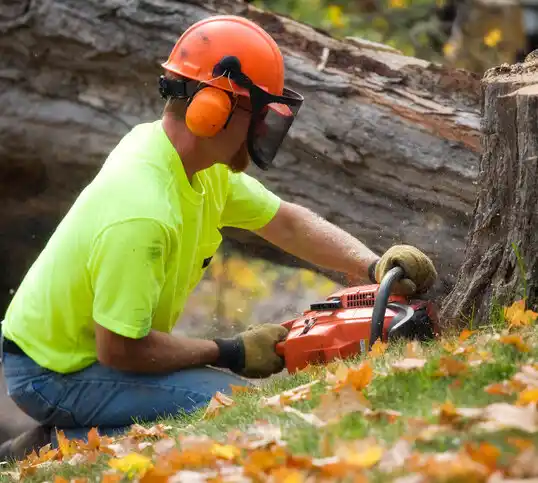 tree services Seven Lakes